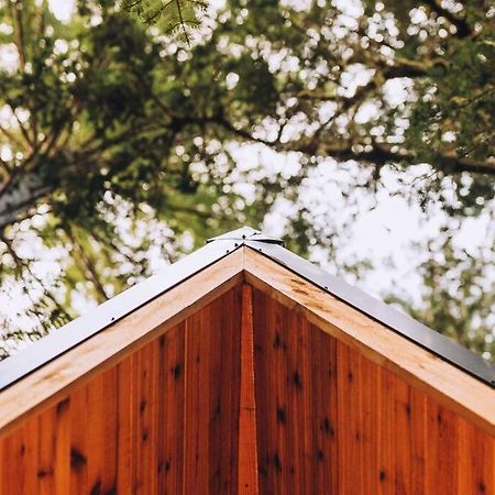 The Treeframe Cabin Villa Index Eksteriør bilde