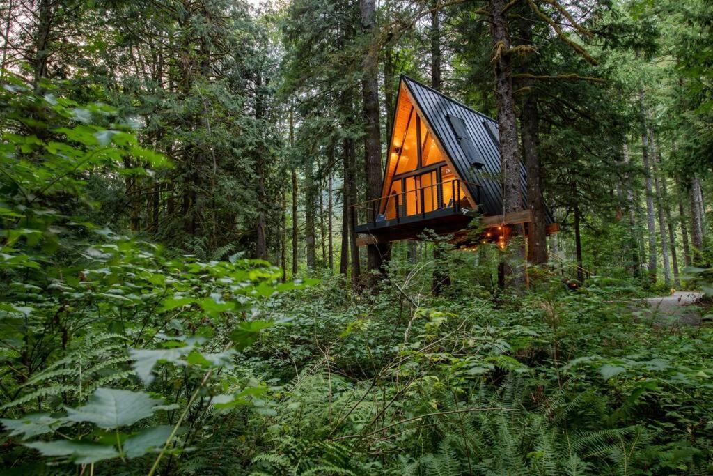 The Treeframe Cabin Villa Index Eksteriør bilde